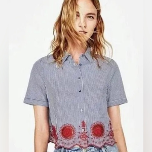 Zara Blue and Red Striped Crop Top